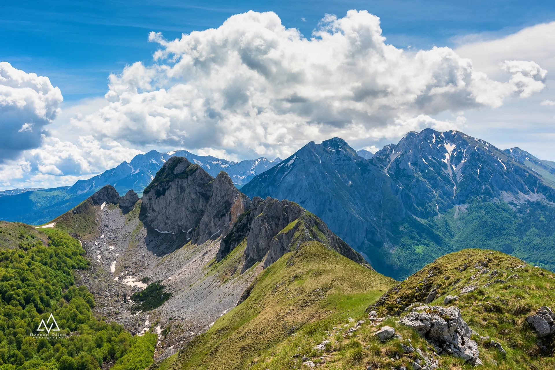 ZELENGORA